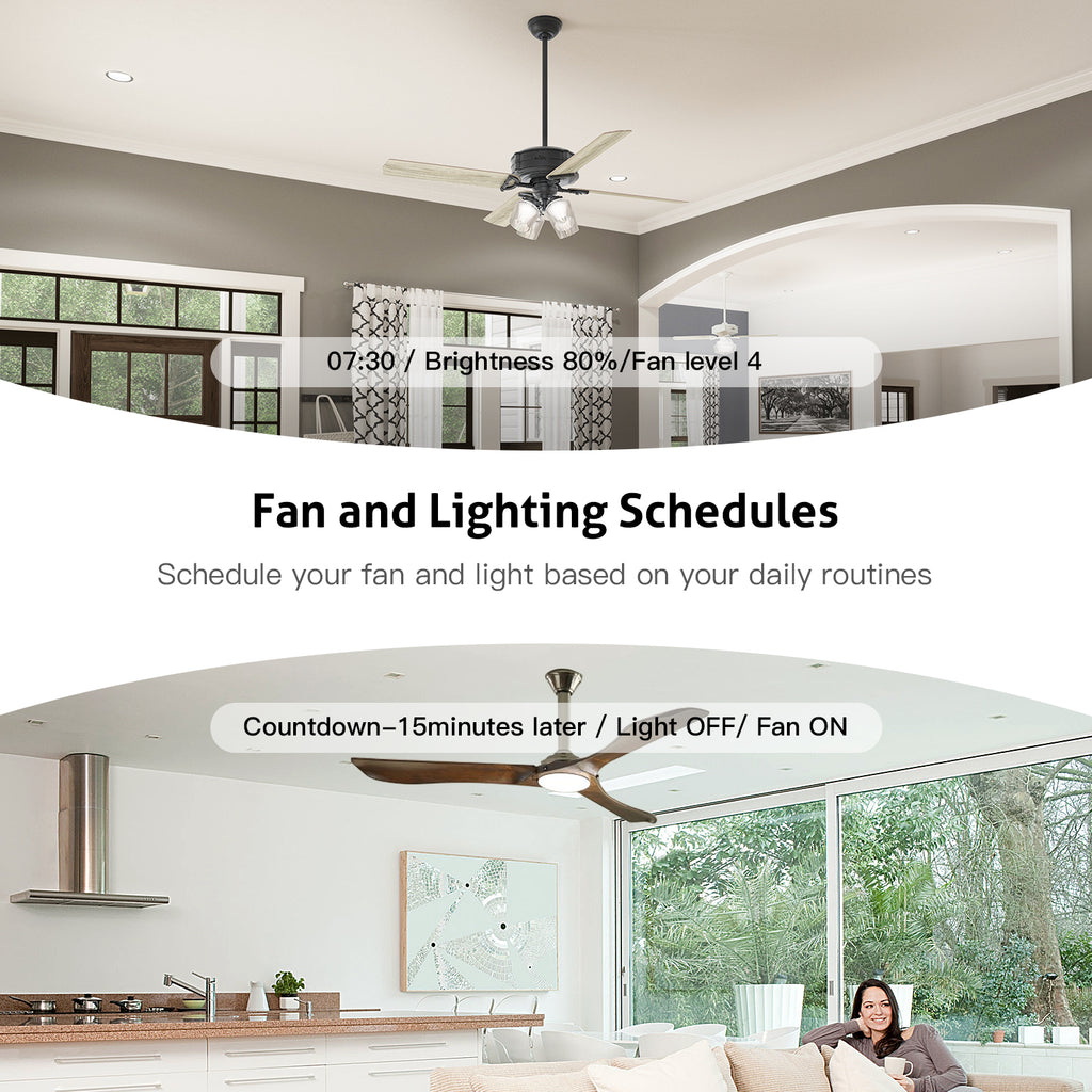 Treatlife 2 in 1 Smart Ceiling Fan Control and Dimmer Light Switch, Neutral Wire Required