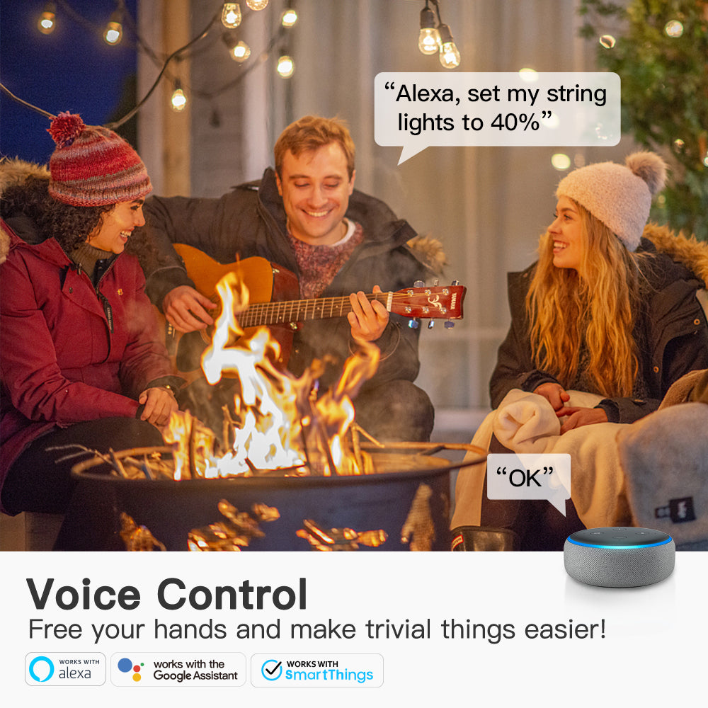 Smart Plug | Works with Alexa | control lights with voice | easy to  set up and use