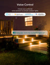 TREATLIFE 2 in 1 HomeKit Outdoor Smart Plug Works with Siri, Alexa, Google Home