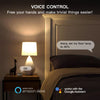 voice control - smart outdoor dimmer